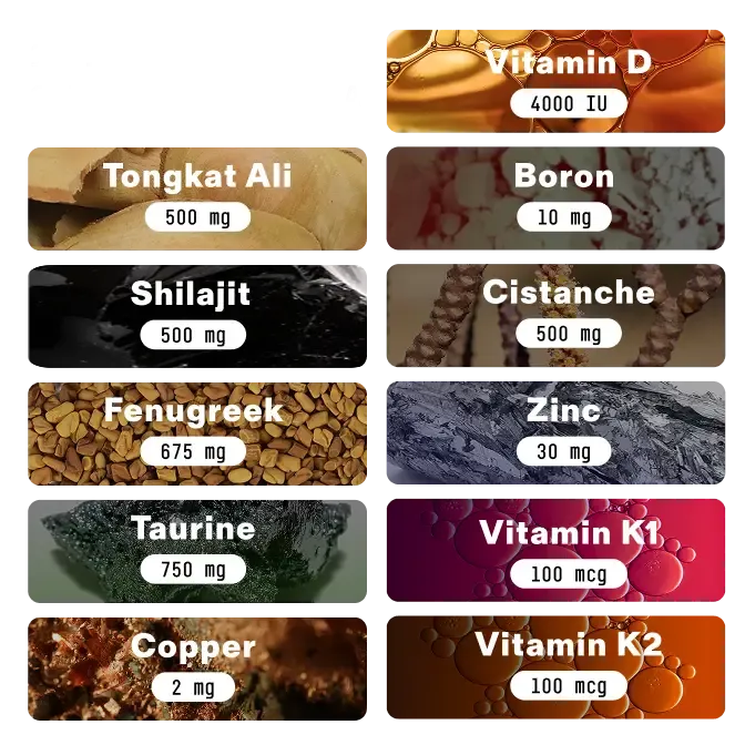 Boost Natural Testosterone Support